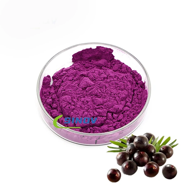 Органична Acai Berry добавка на прах