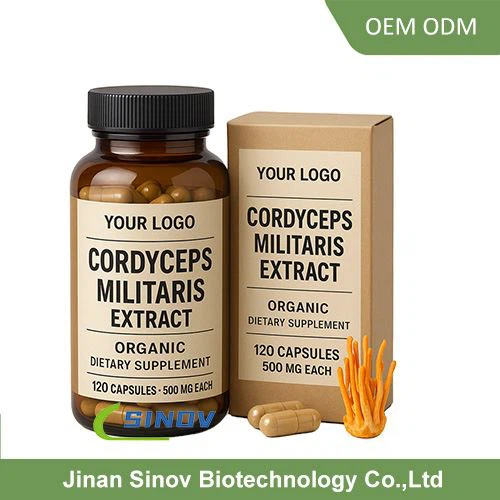 Cordyceps Militaris Extract supplement