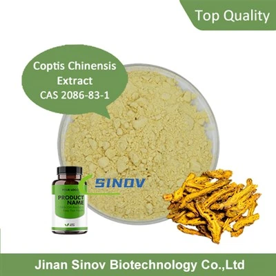 Coptis chinensis екстракт прах